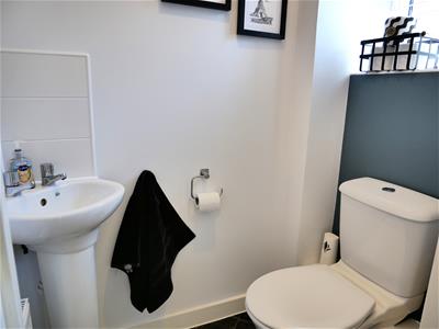 Picture 20